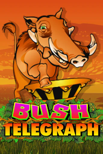 Бесплатная игра Bush Telegraph от Microgaming | ChampionSlots Casino 