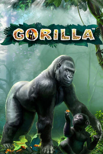 Бесплатная игра Gorilla от Novomatic | ChampionSlots Casino 