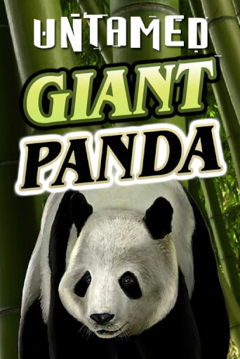 Бесплатная игра Untamed - Giant Panda от Microgaming | ChampionSlots Casino 