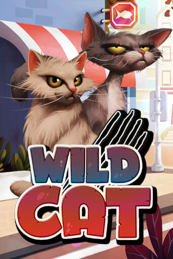 Бесплатная игра Wild Cat от Spinmatic | ChampionSlots Casino 